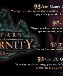 Pillars of Eternity - PC Key Code Steam Game Global
